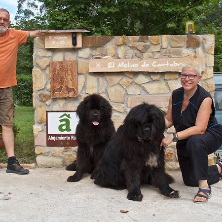 Posada Pet Friendly El Molino De Cantabria Entrambasaguas  Eksteriør bilde
