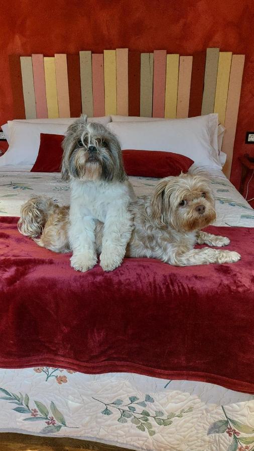 Posada Pet Friendly El Molino De Cantabria Entrambasaguas  Eksteriør bilde