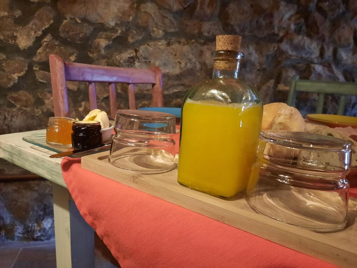 Posada Pet Friendly El Molino De Cantabria Entrambasaguas  Eksteriør bilde