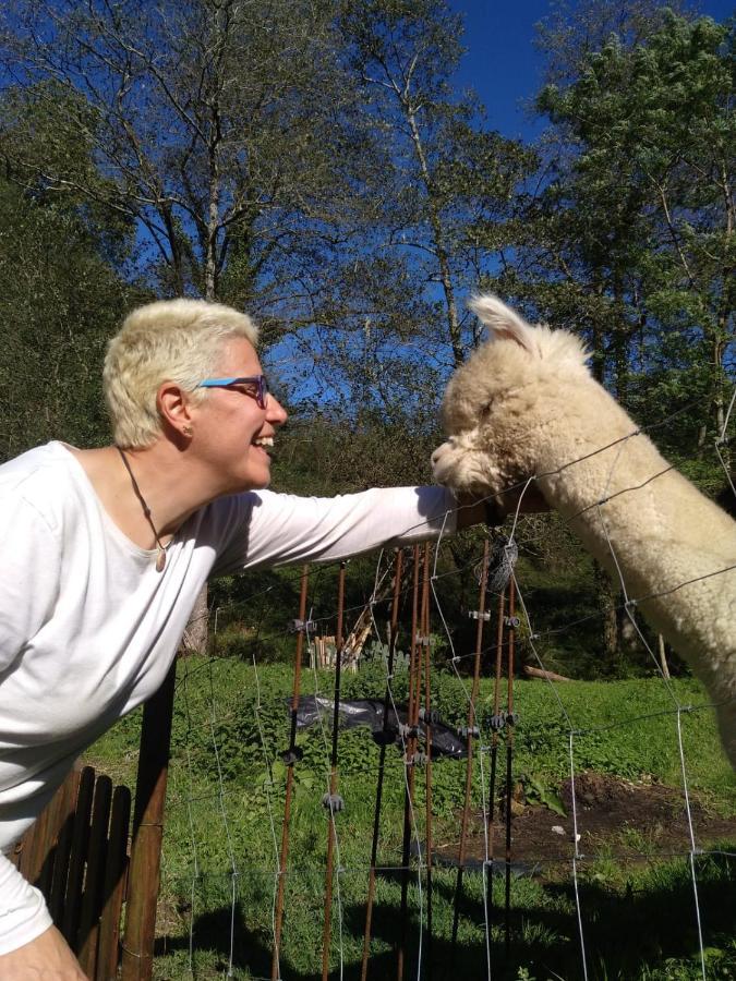 Posada Pet Friendly El Molino De Cantabria Entrambasaguas  Eksteriør bilde
