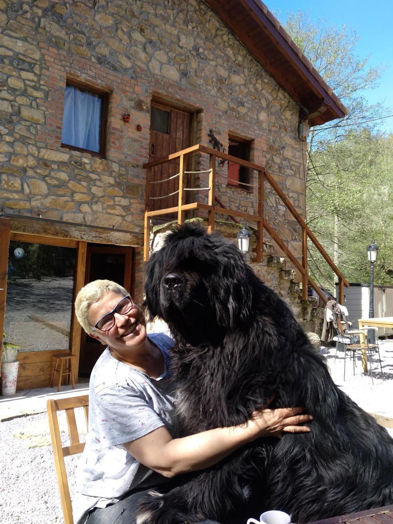 Posada Pet Friendly El Molino De Cantabria Entrambasaguas  Eksteriør bilde