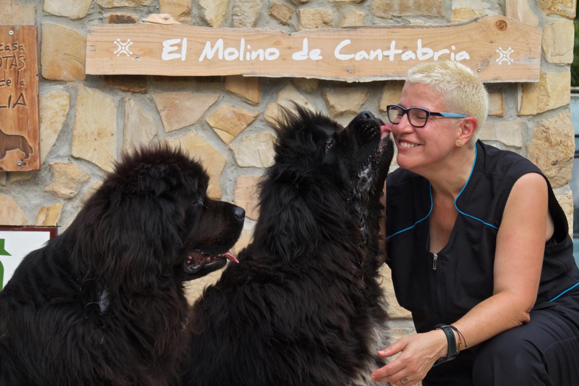 Posada Pet Friendly El Molino De Cantabria Entrambasaguas  Eksteriør bilde