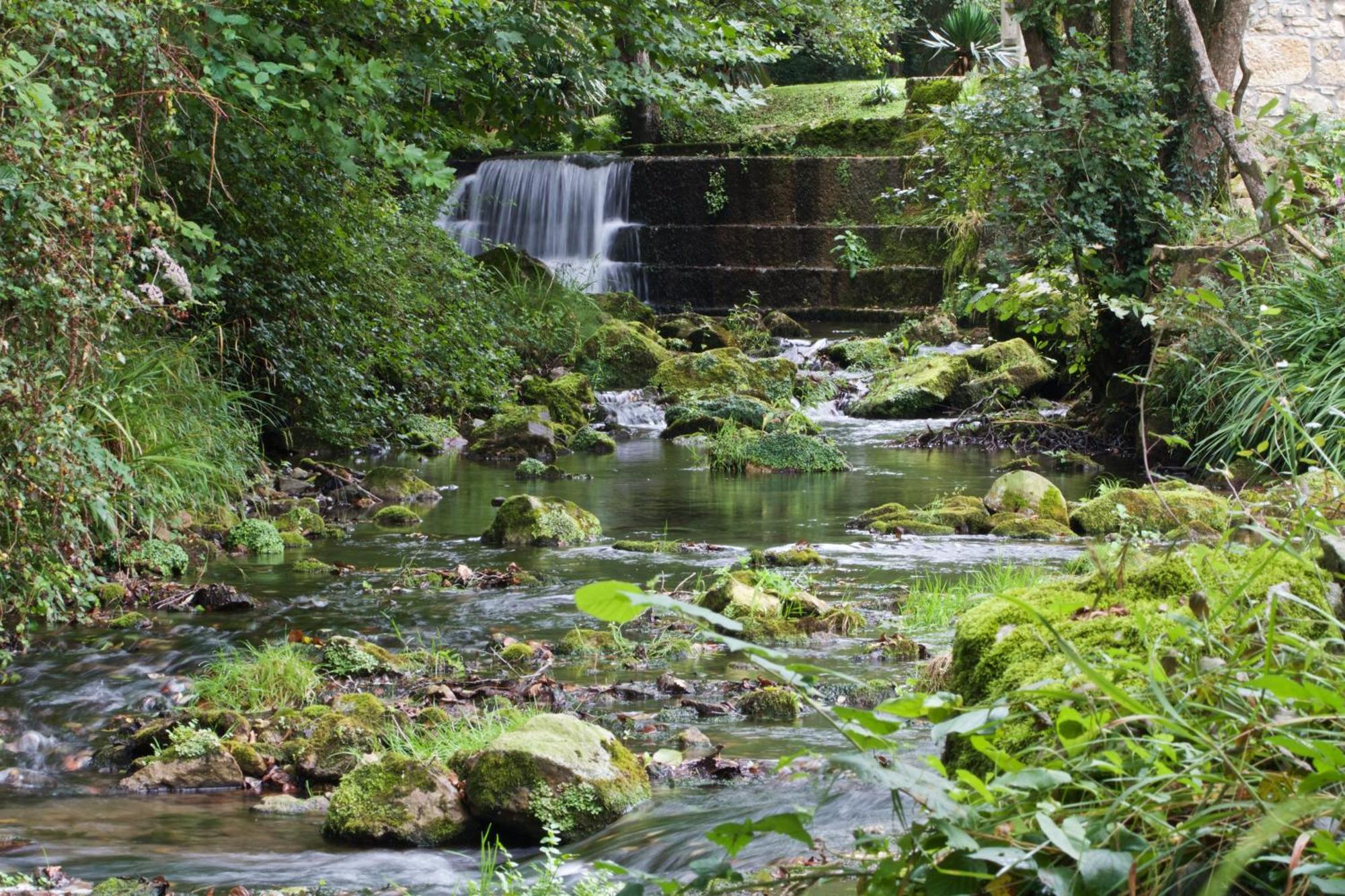 Posada Pet Friendly El Molino De Cantabria Entrambasaguas  Eksteriør bilde