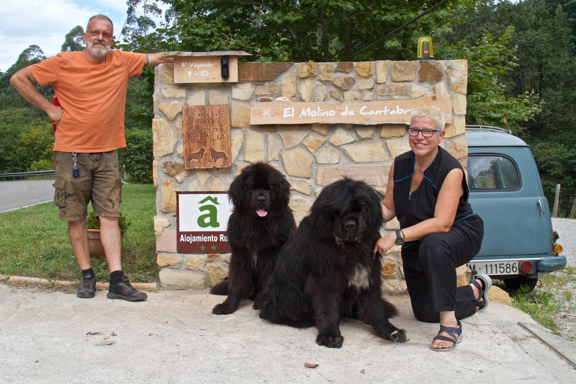 Posada Pet Friendly El Molino De Cantabria Entrambasaguas  Eksteriør bilde