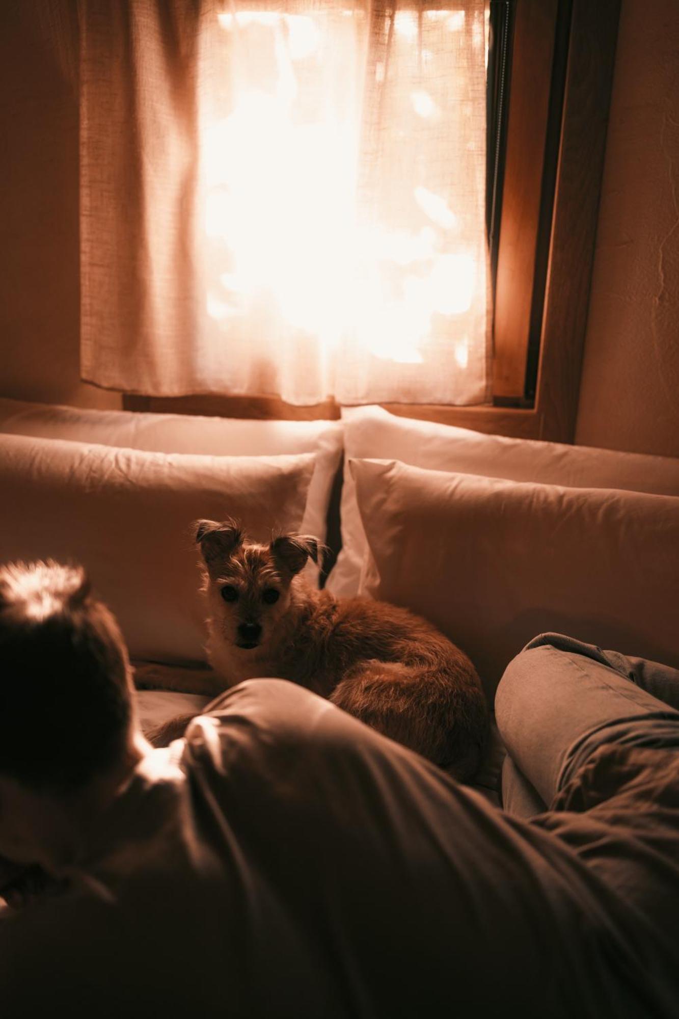 Posada Pet Friendly El Molino De Cantabria Entrambasaguas  Eksteriør bilde