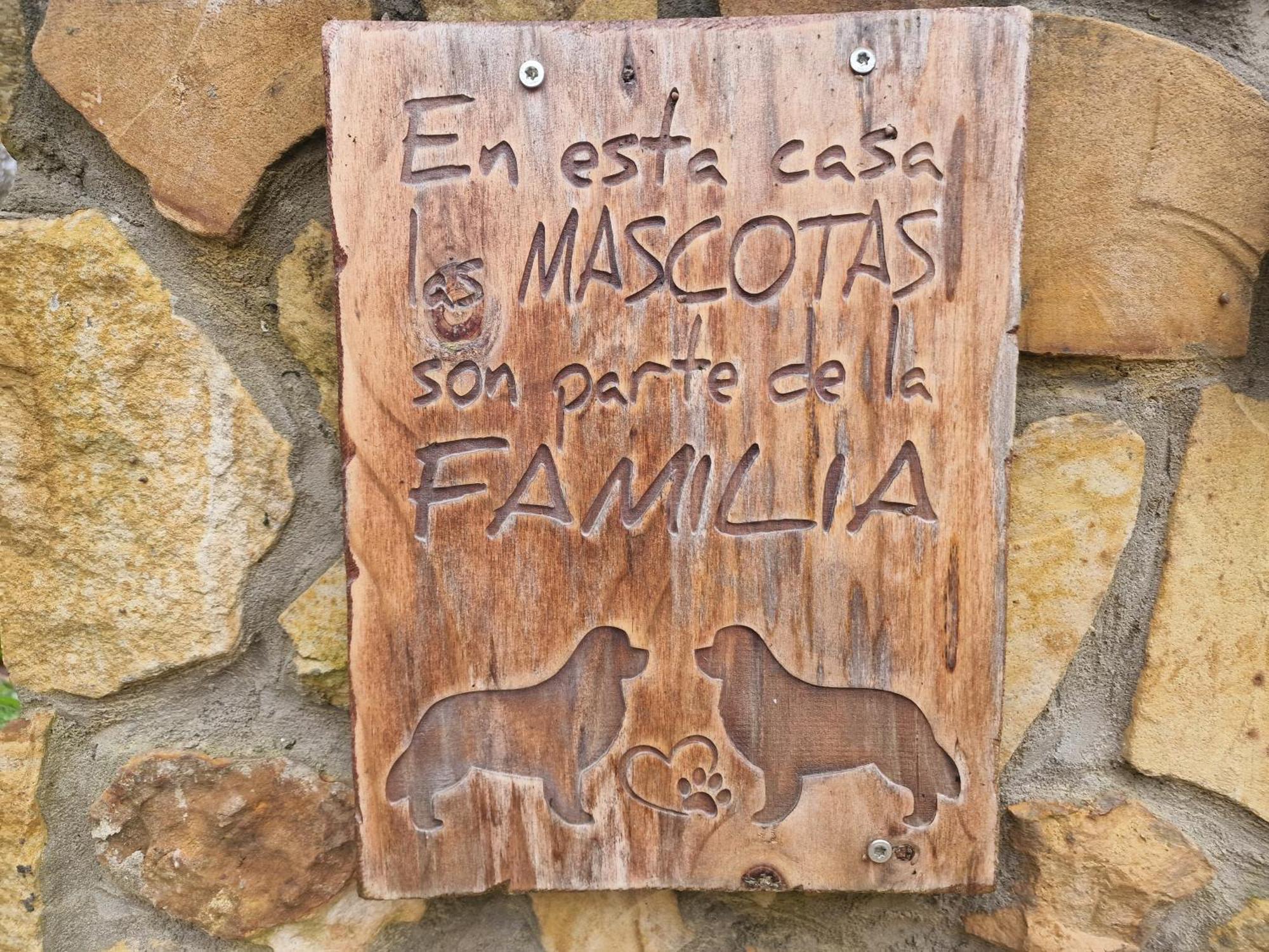 Posada Pet Friendly El Molino De Cantabria Entrambasaguas  Eksteriør bilde
